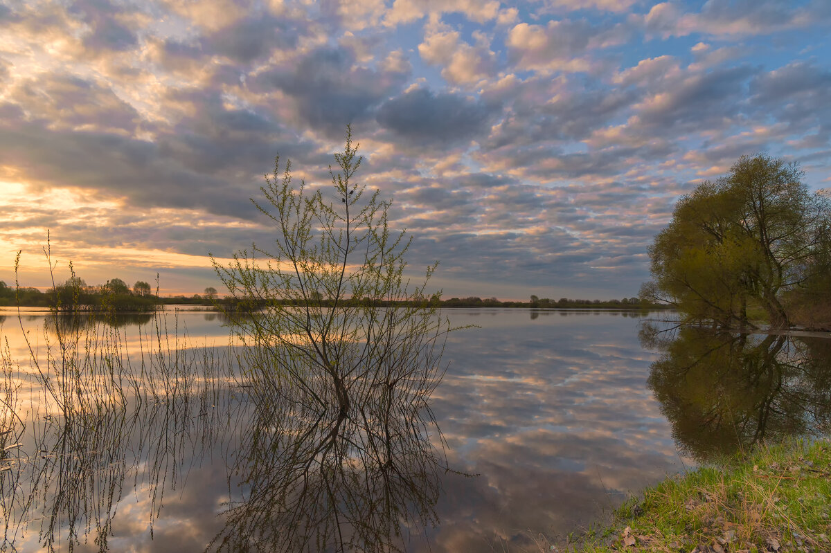 ... - василий 