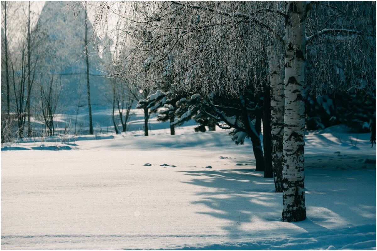 Снежная зима. Суздаль - Вячеслав Владимирович