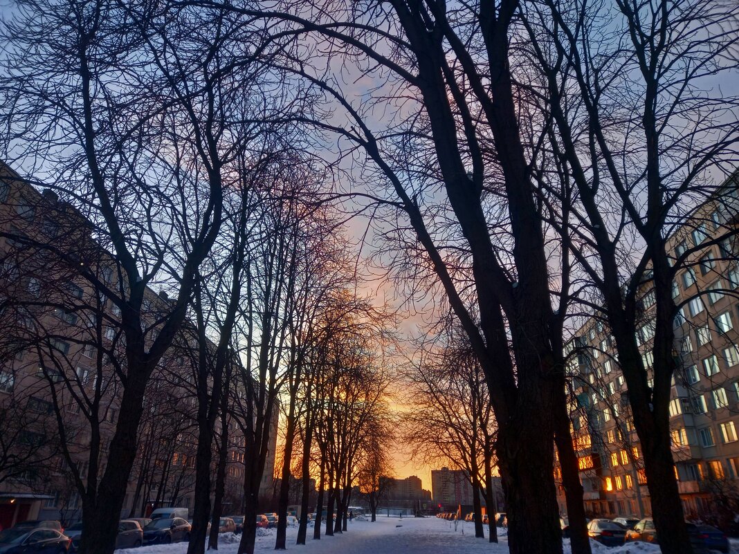 Закат - Сапсан 