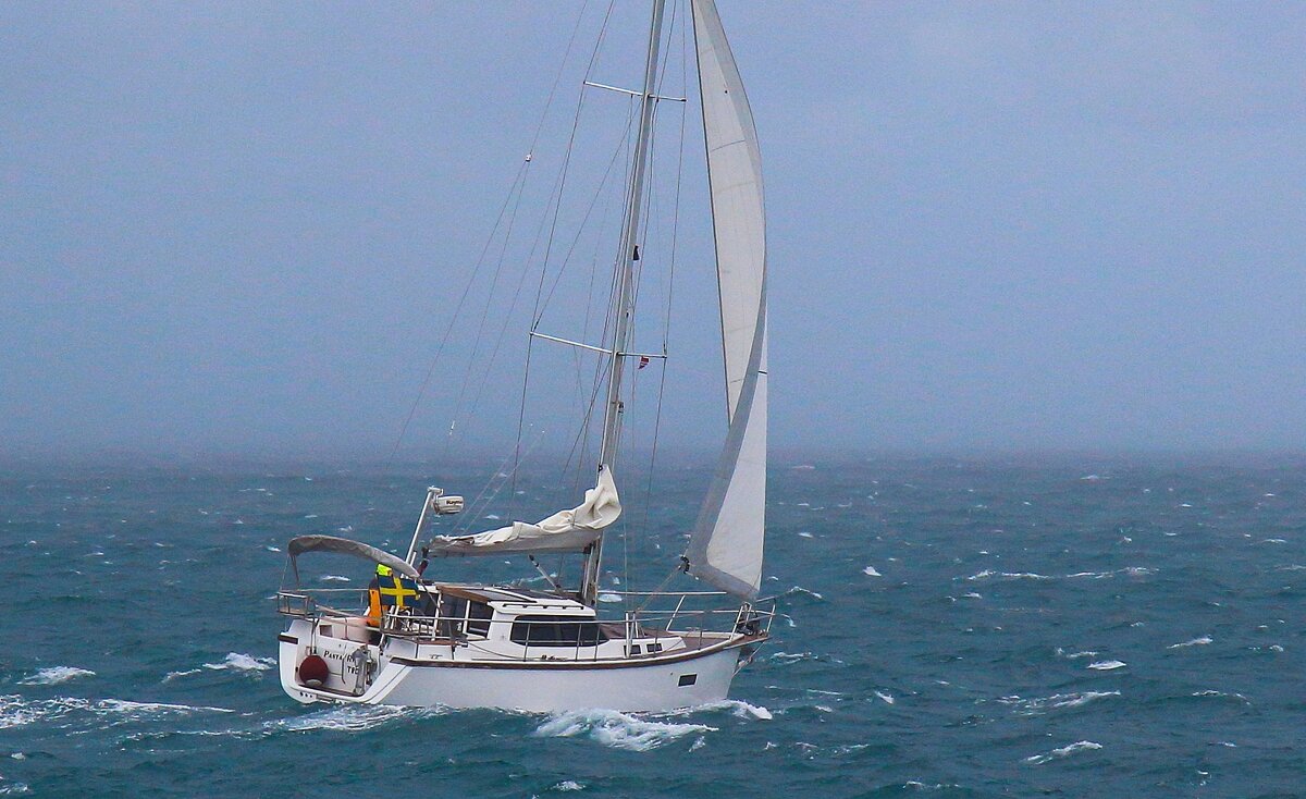 В открытое море - В.И 