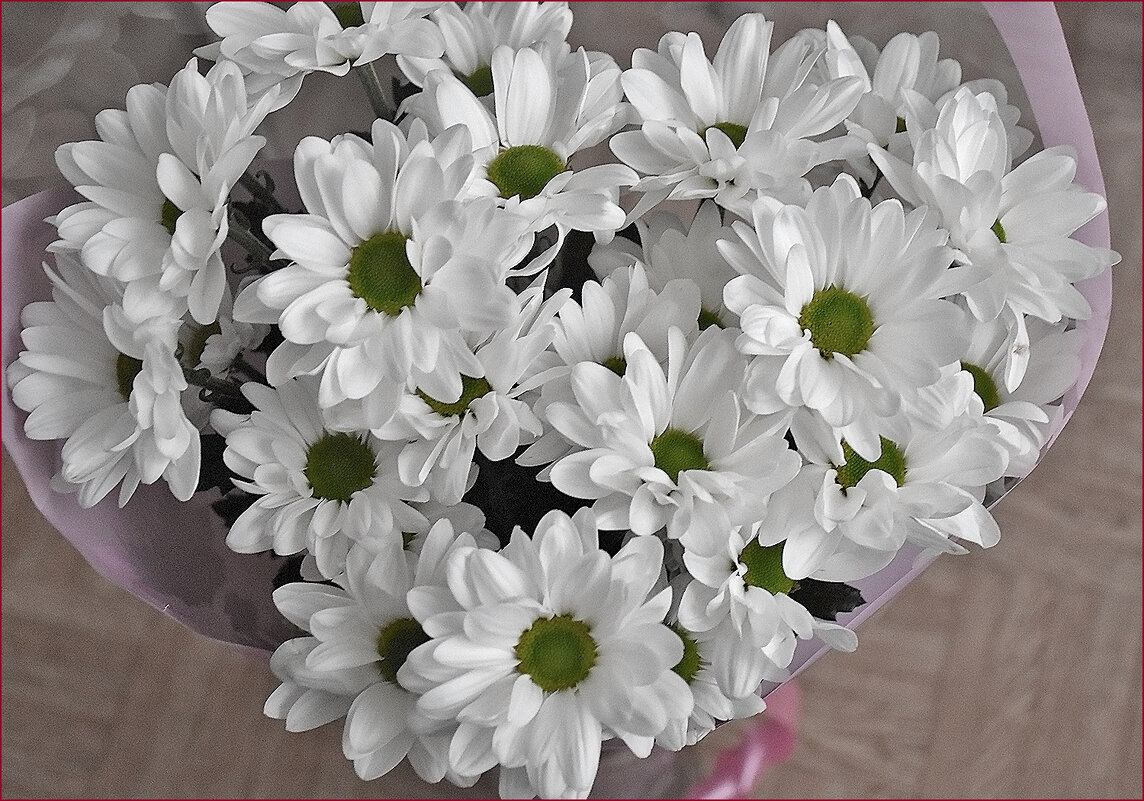 Сегодня - Татьянин день! (День российского студенчества) - Валентина Нефёдова Сегодня - Татьянин день! (День российского студенчества) - Валентина Нефёдова