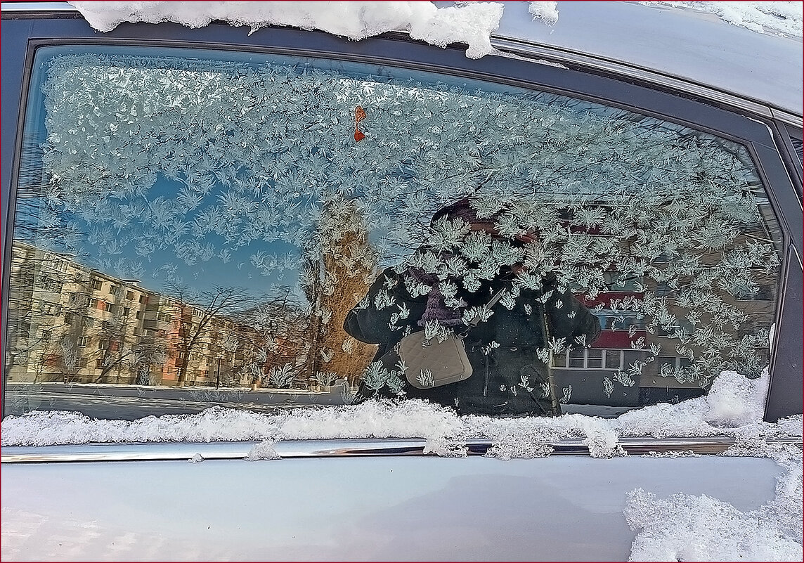 Интересный кадр! - Валентина  Нефёдова 