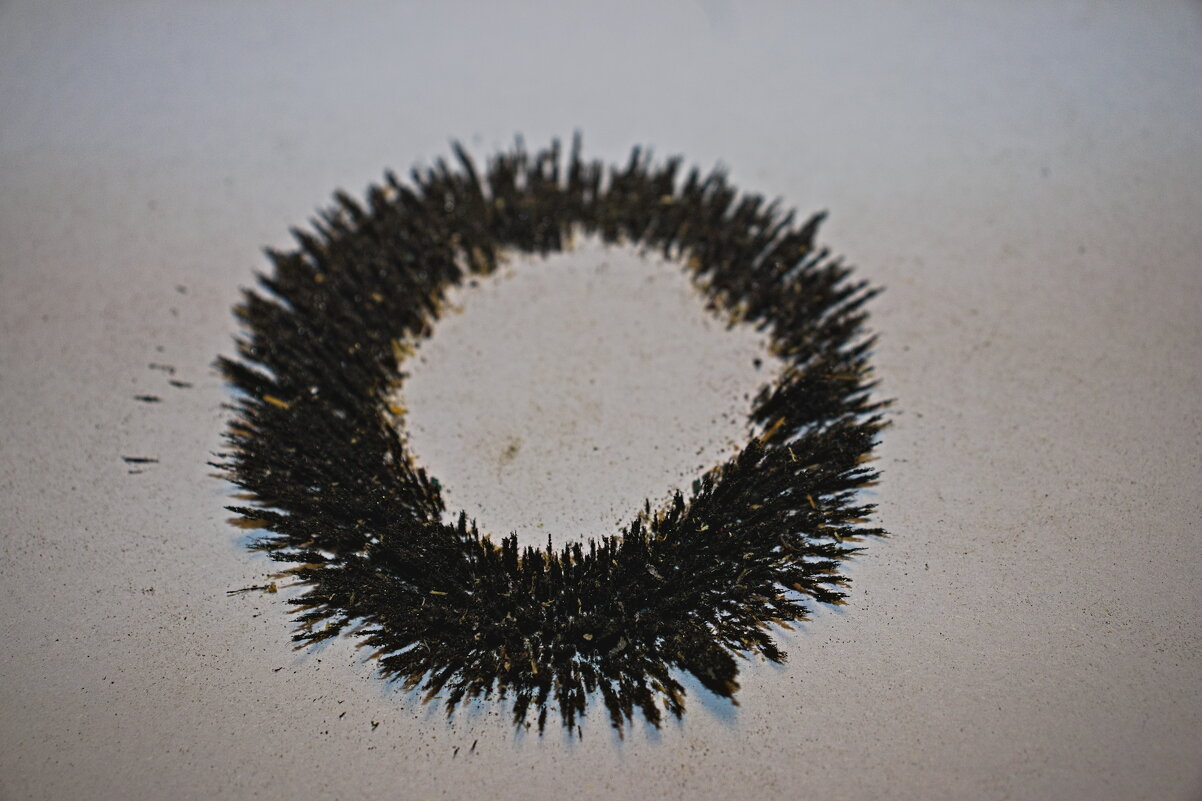 Опилочное солнце ))) - Giant Tao /