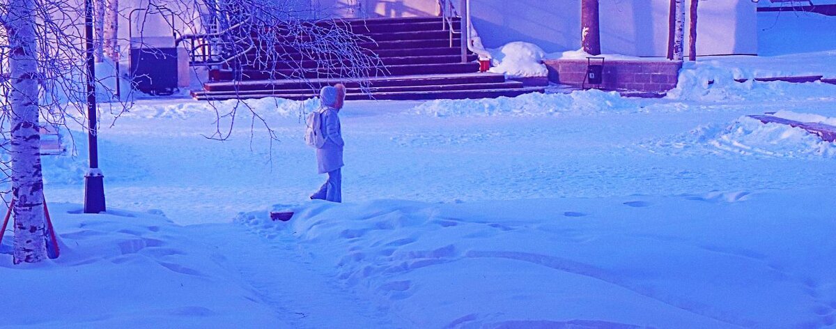 Минус 40!? Все равно пойду в школу! - Владимир 