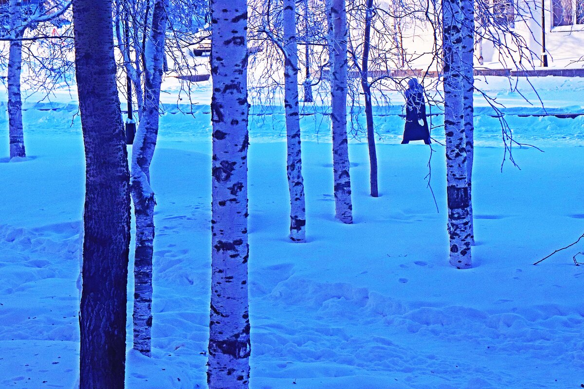 Утром в Крещенский мороз! - Владимир 