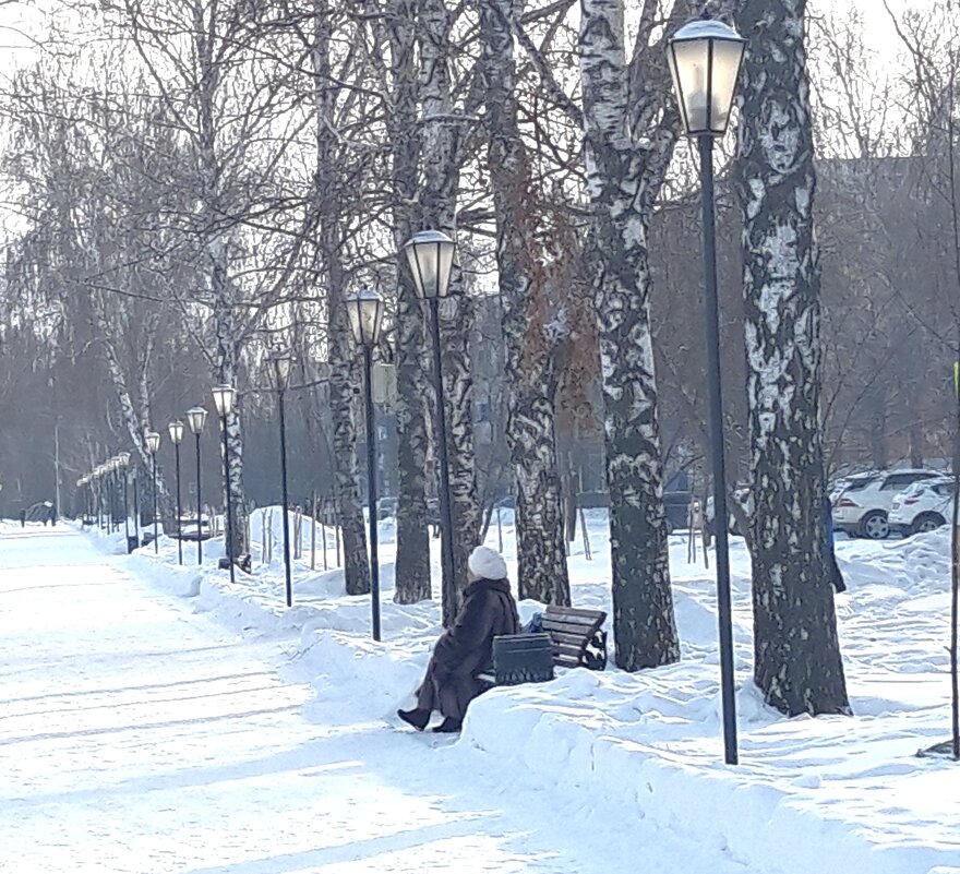 зима - Венера Чуйкова