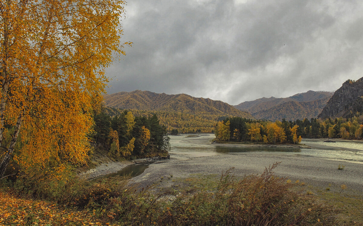 Пасмурный день - елена беликова