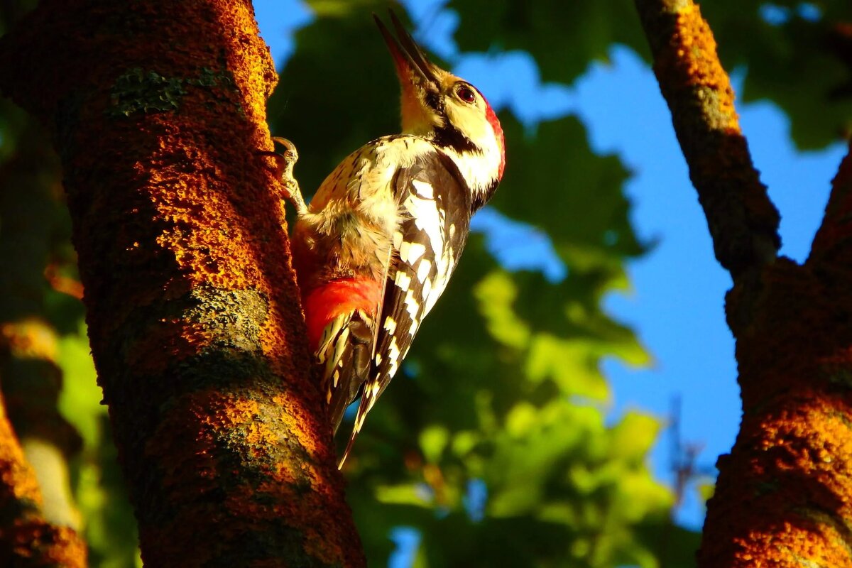 Утро. - Михаил Колосов 
