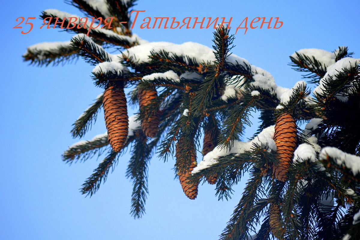 Морозный зимний праздник - Татьяна Лютаева