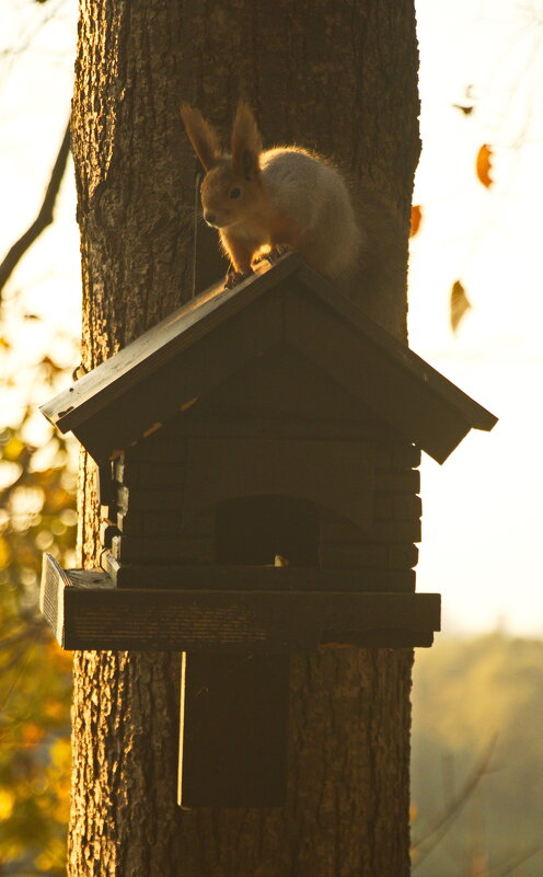 в ожидании - Владимир Зырянов