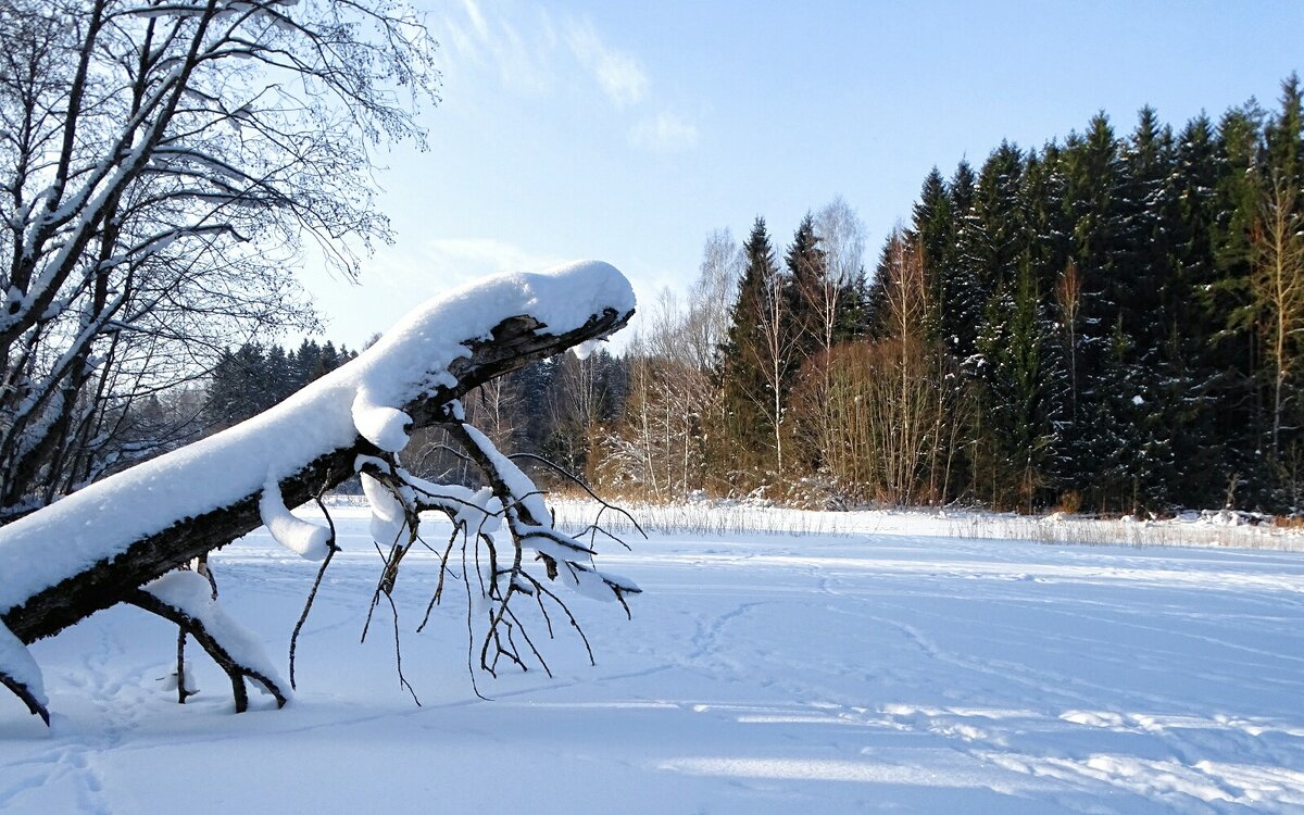 Зимний пейзаж. - Милешкин Владимир Алексеевич 