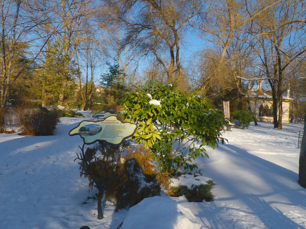 Природа в ботаническом саду - Валентин Семчишин