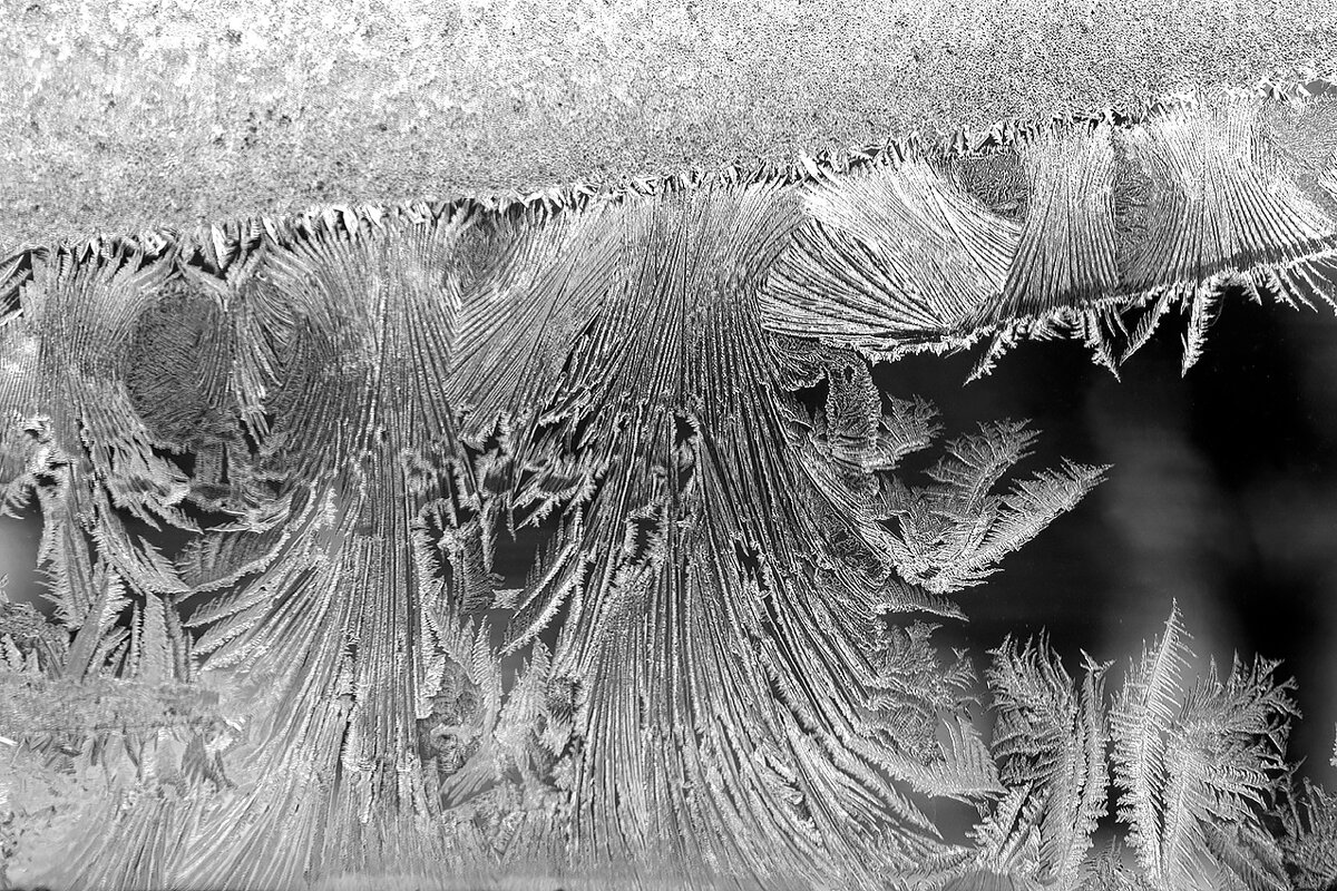 М2 - Алексей Смирнов