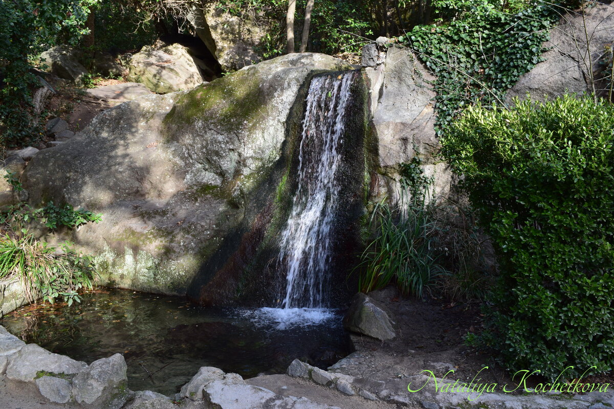 Природа Крыма - Amazing Cosmea