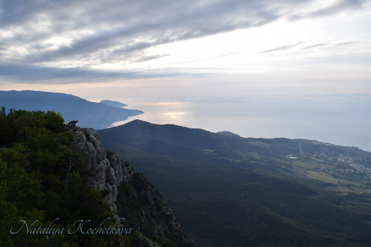 Природа Крыма - Amazing Cosmea