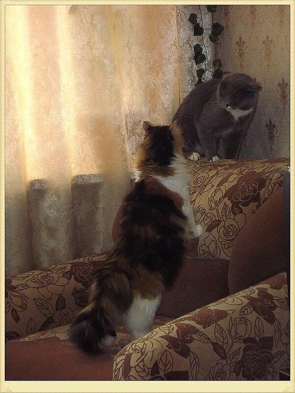 Так кто в доме хозяин! - Нина Андронова