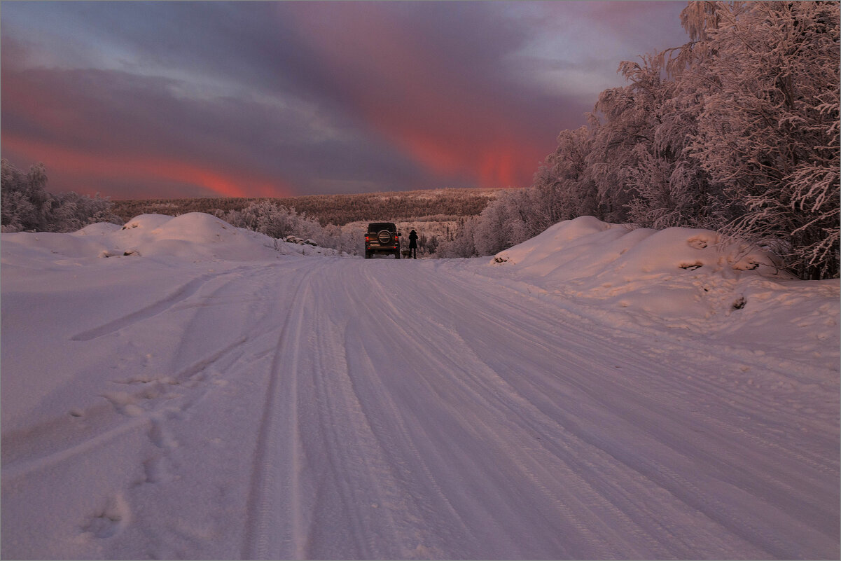На прогулке... - Владимир Чикота 
