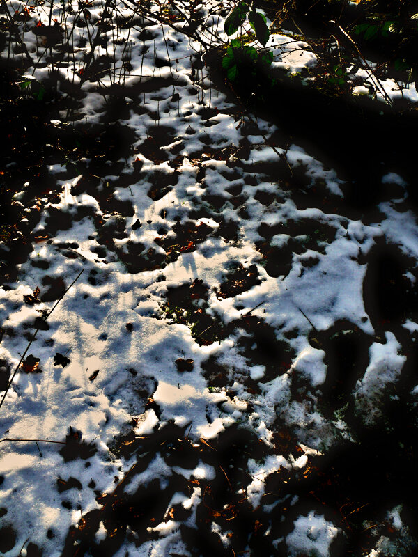 Южная зима - 11 - Алексей Кузнецов