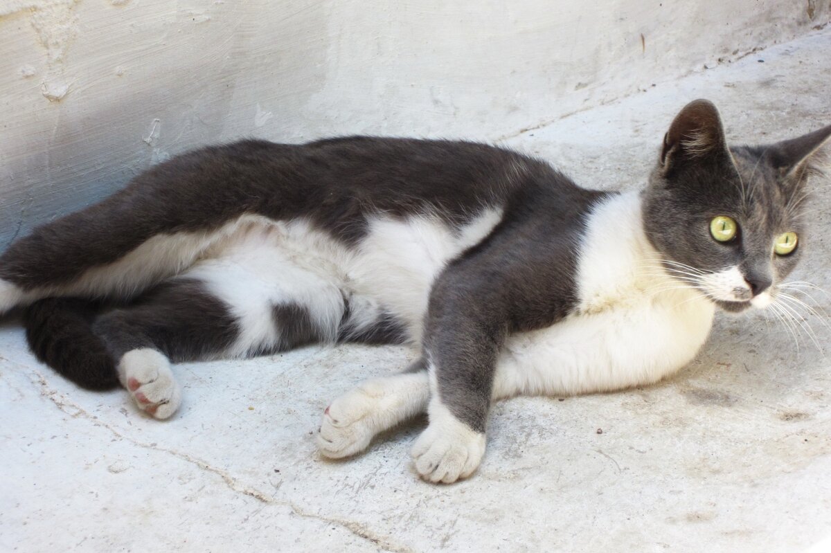 Красотка - Натали 