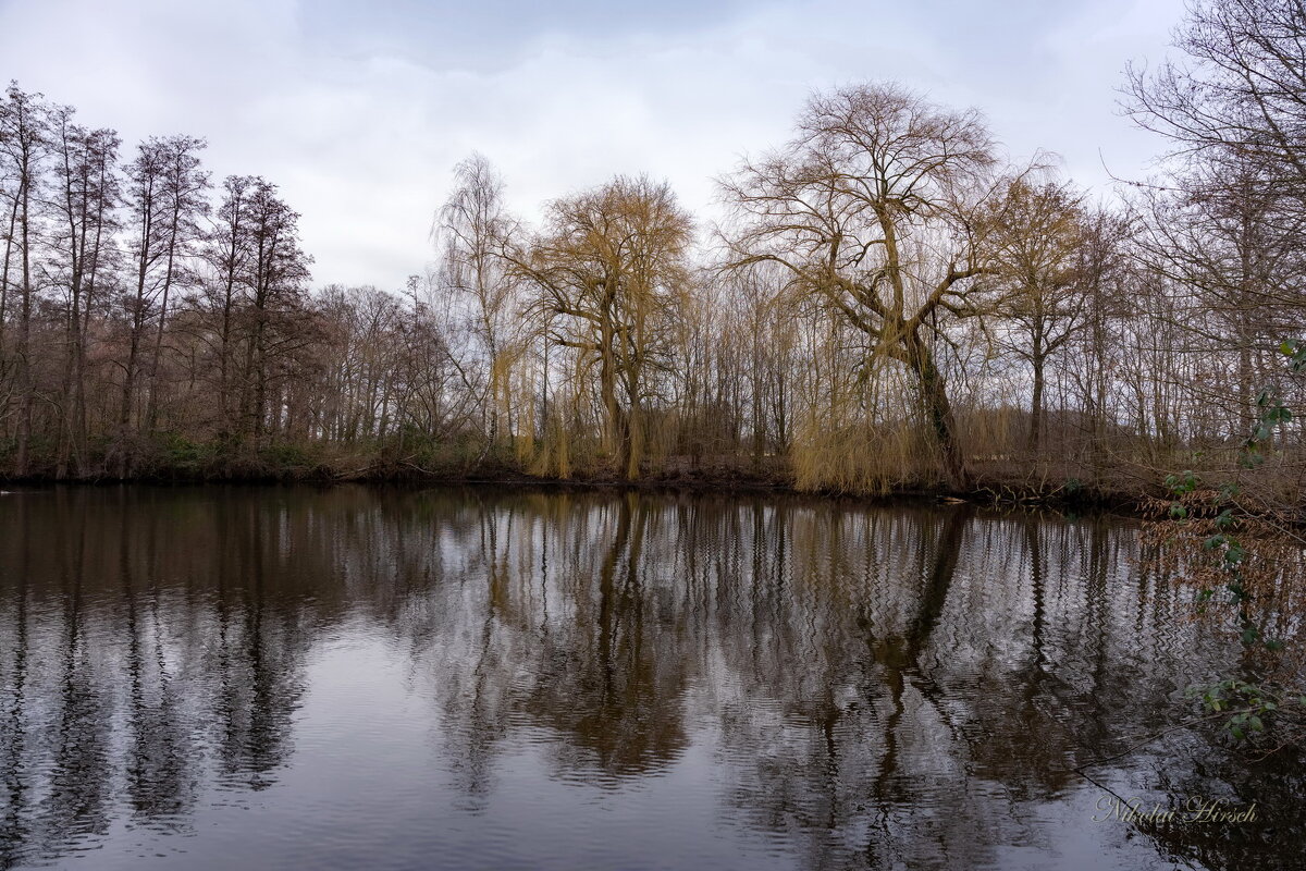 *** - Николай Гирш *** - Николай Гирш