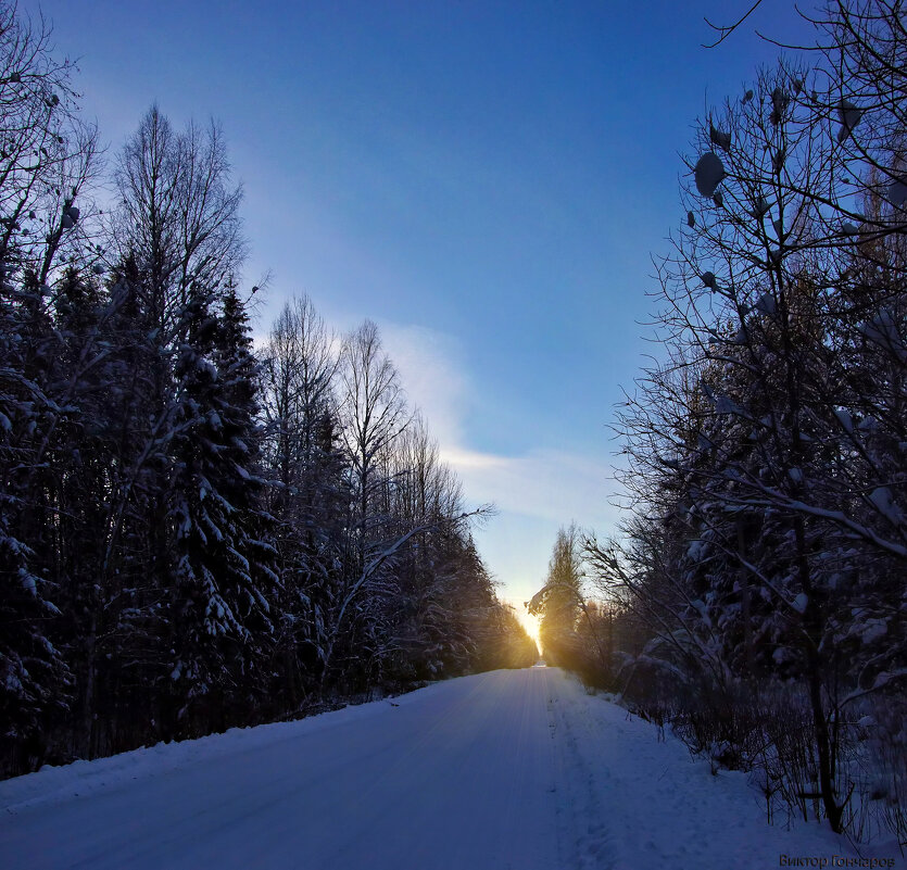 зима, Бокситогорский район - Laryan1 