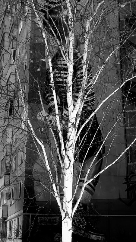 Незримое наследие - Сергей Матвеенко