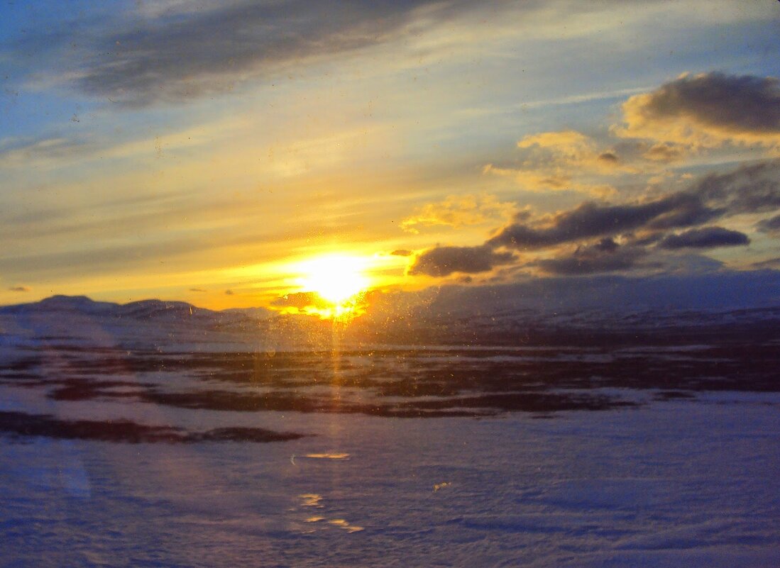 ЯМАЛ - Tata Wolf