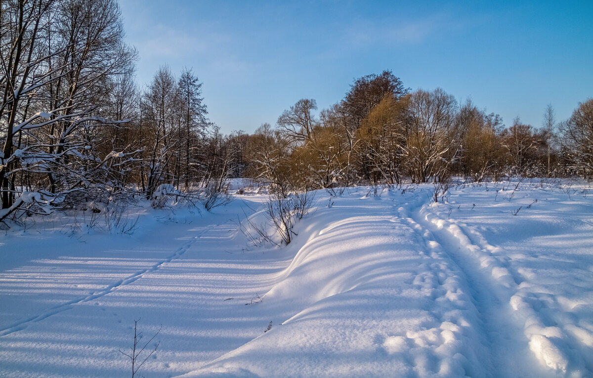 Морозное утро - Андрей Дворников