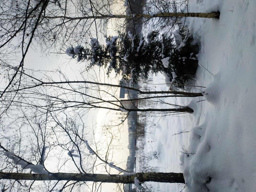 Моё Абрамцево - Андрей Лукьянов