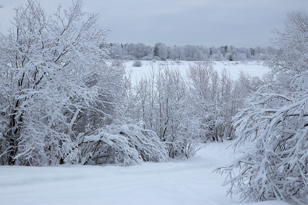 *** - Андрей Дурапов