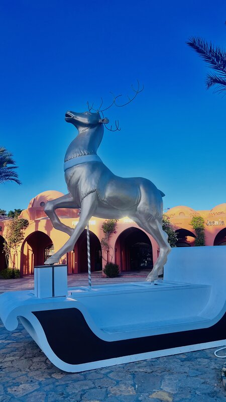 El Gouna - Aлёна V El Gouna - Aлёна V