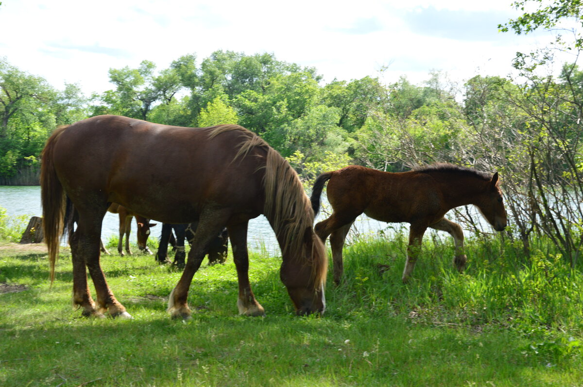 Первая Весна у молодняка. - Виктор 