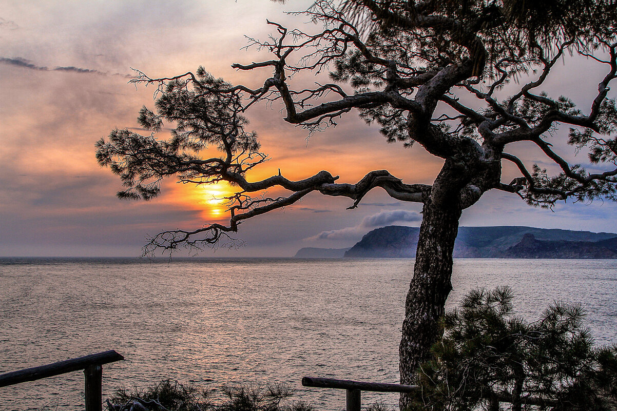 Закат. - Сергей Воротников
