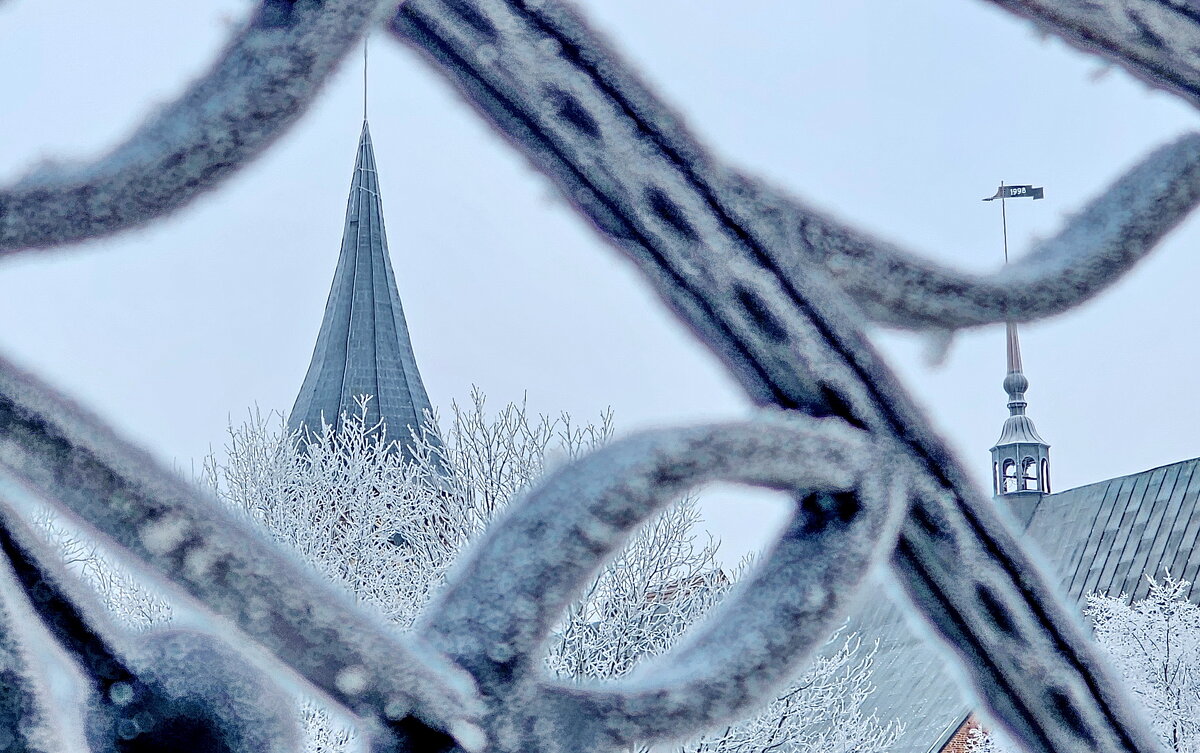 Калининград. Кафедральный собор. - Михаил Свиденцов