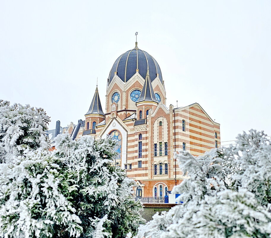 Синагога. - Михаил Свиденцов