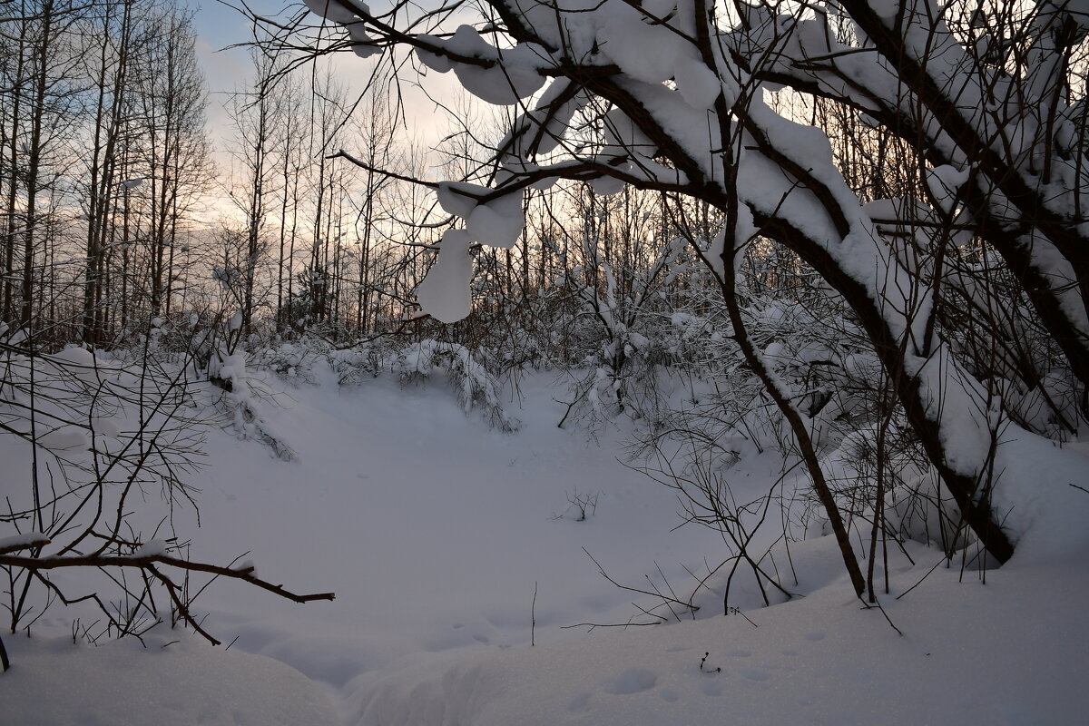 природа - סּﮗRuslan HAIBIKE Sevastyanovסּﮗסּ