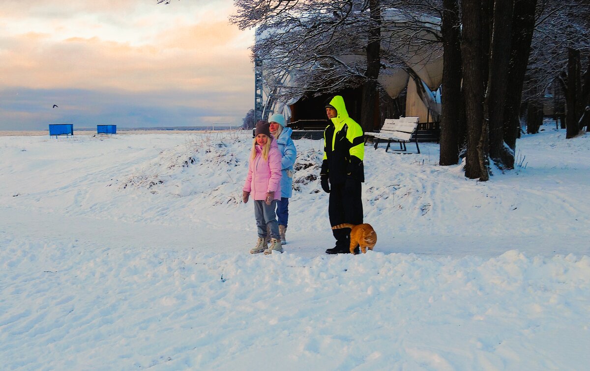 Рыжик и другие... - Sergey Gordoff