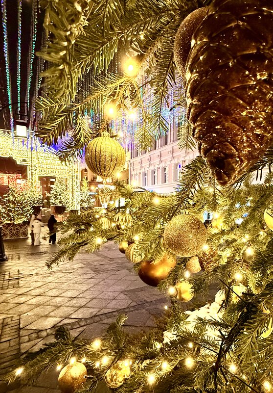 «Новогодняя Москва»‘ 2026 - Арина Невская «Новогодняя Москва»‘ 2026 - Арина Невская