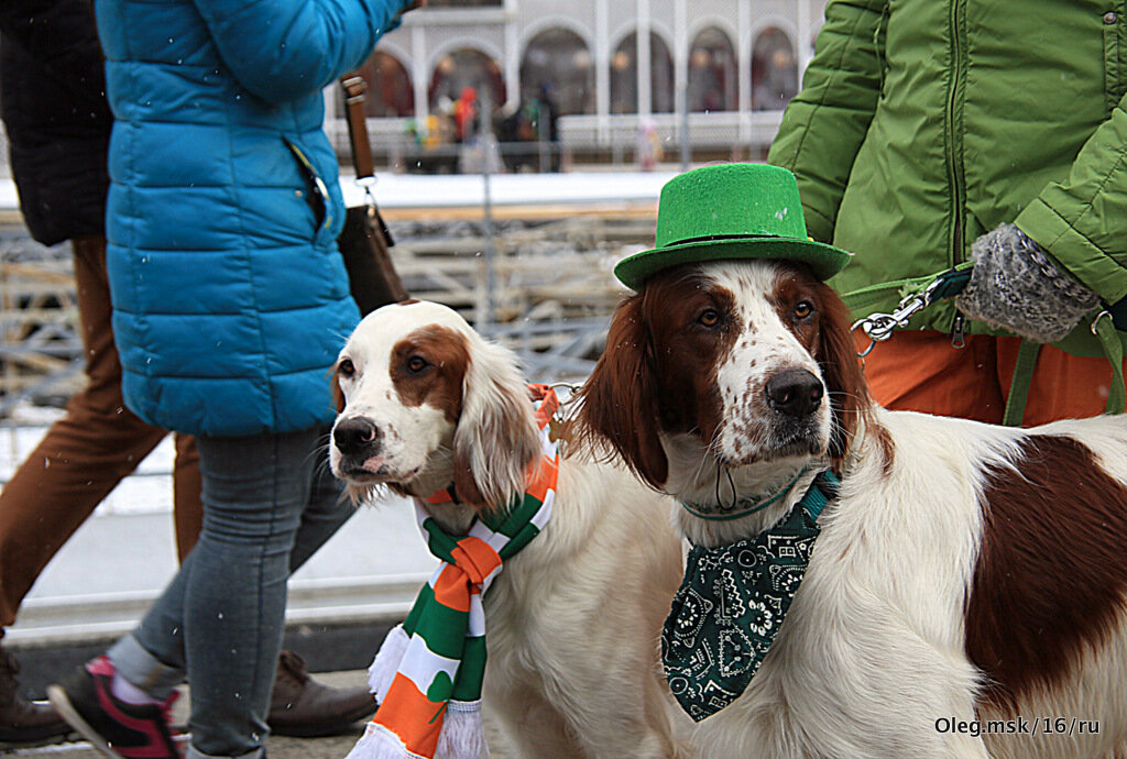 маленькие радости - Олег Лукьянов