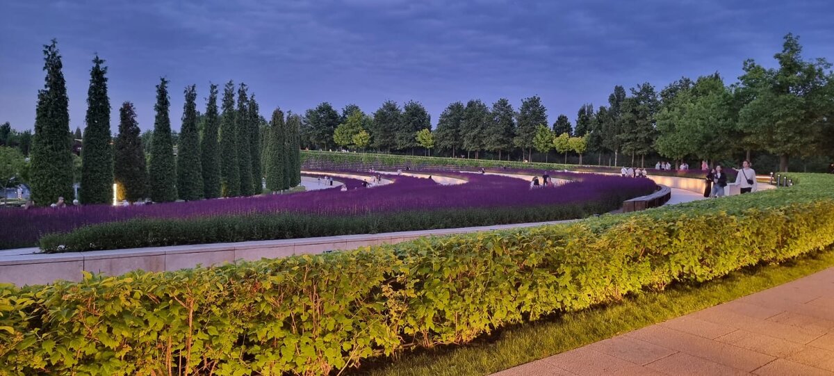 Когда свет идёт вдоль земли - Ольга Косачова