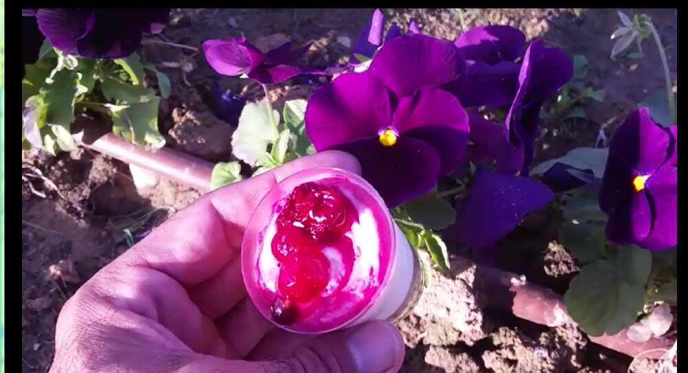 115 (84) - CLOSE WAYS ALL