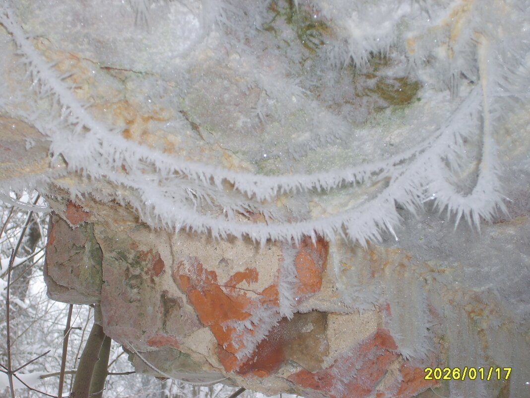 Паутина в инее - fogmeadowww m