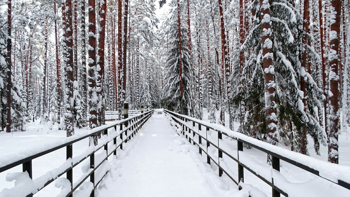 Перспектива. - Милешкин Владимир Алексеевич Перспектива. - Милешкин Владимир Алексеевич