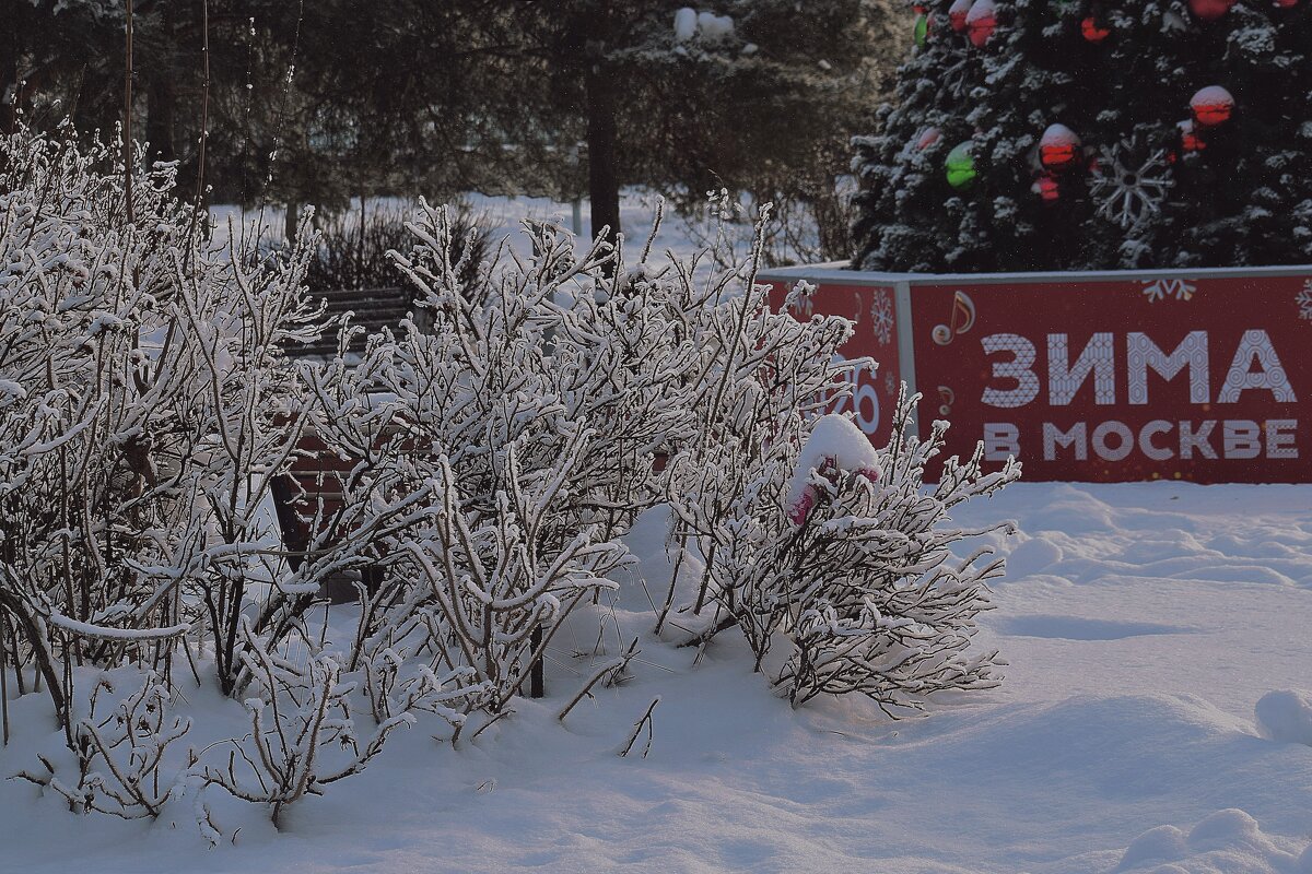Настоящая зима в Москве - Татьяна Помогалова
