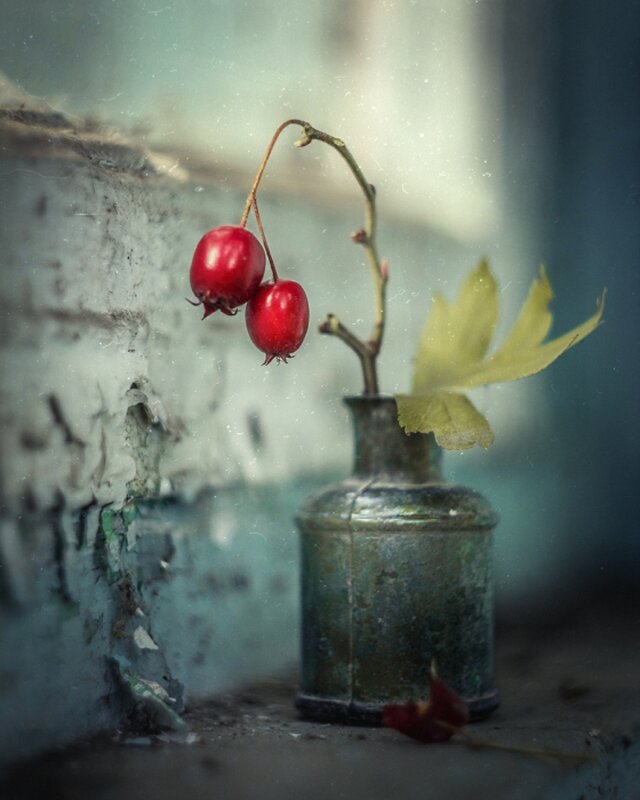 Мир натюрморта-10 - irina Schwarzer 