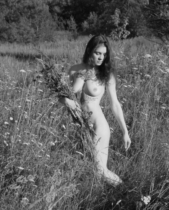 **** - Kirill Poe **** - Kirill Poe