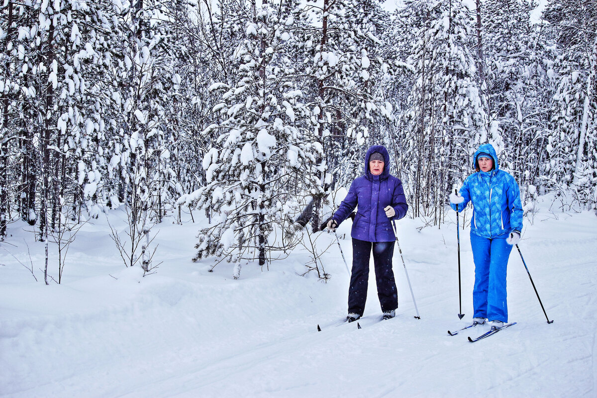 Декабрь...В заснеженном лесу на лыжах! - Владимир 