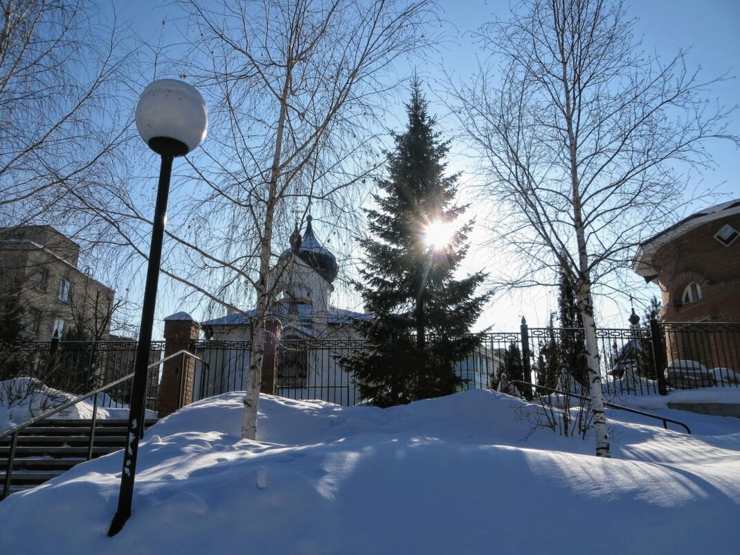 Зимний день - Лариса С.