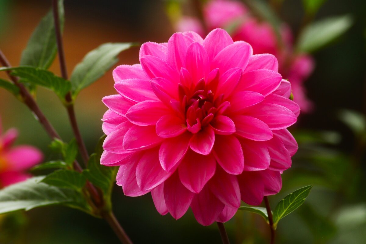 Доброе утро - Юрий. Шмаков