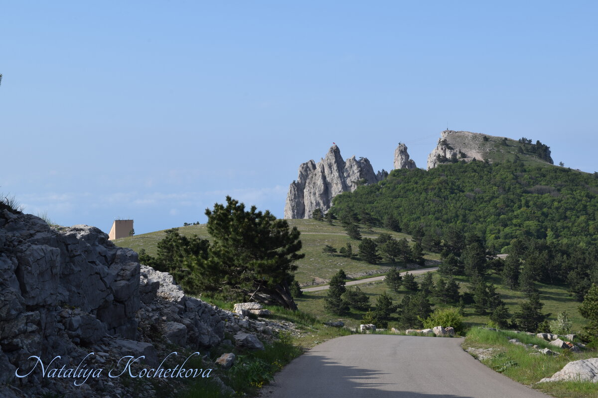 Природа Крыма - Amazing Cosmea